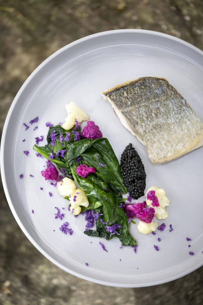Poisson, fleurs de bourrache et du jardin